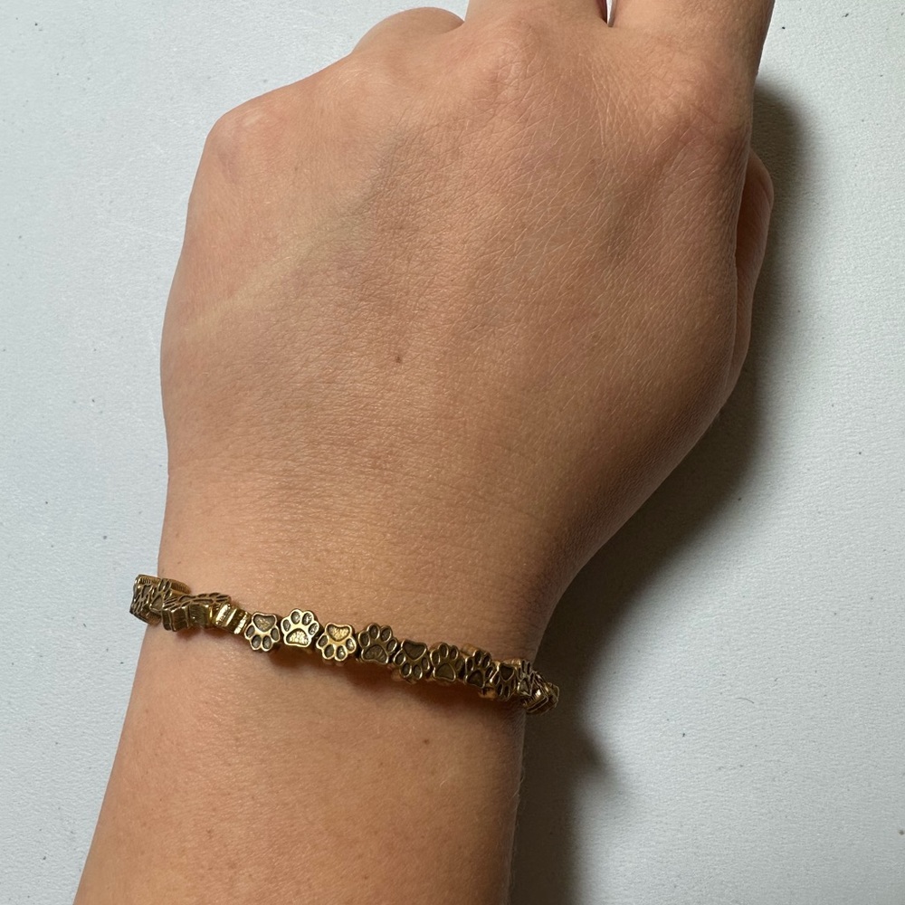 Alex and Ani Dog Paw Bracelet